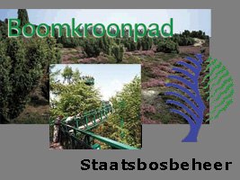 Staatsbosbeheer Boomkroonpad